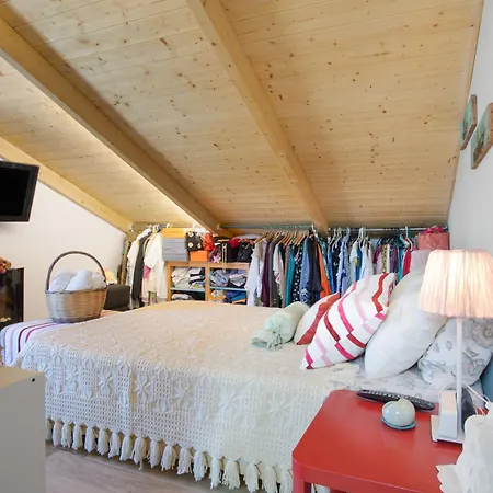 Apartment Zante Amici Loft *